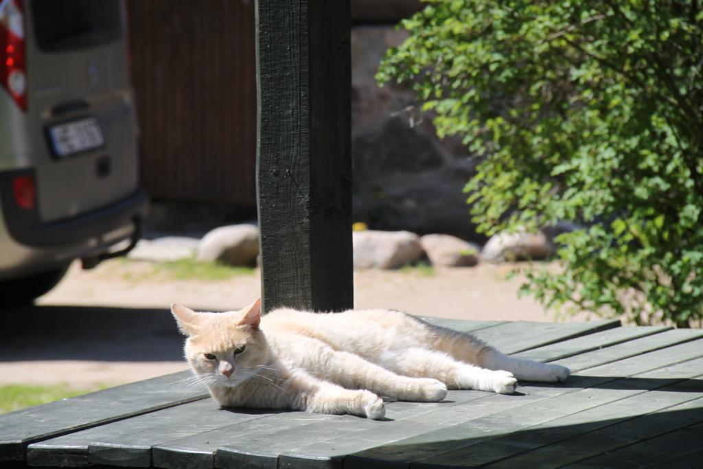 Vejavas Svētciems Exterior foto